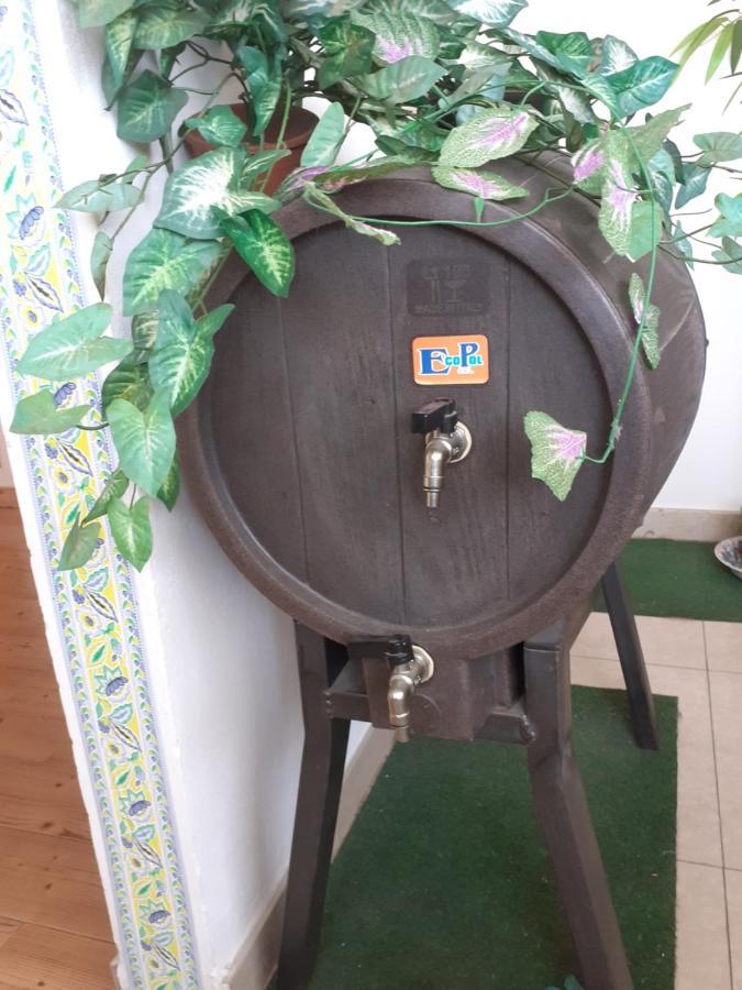 B&B Mistral Di Lizzio Salvatore Giarre Kültér fotó